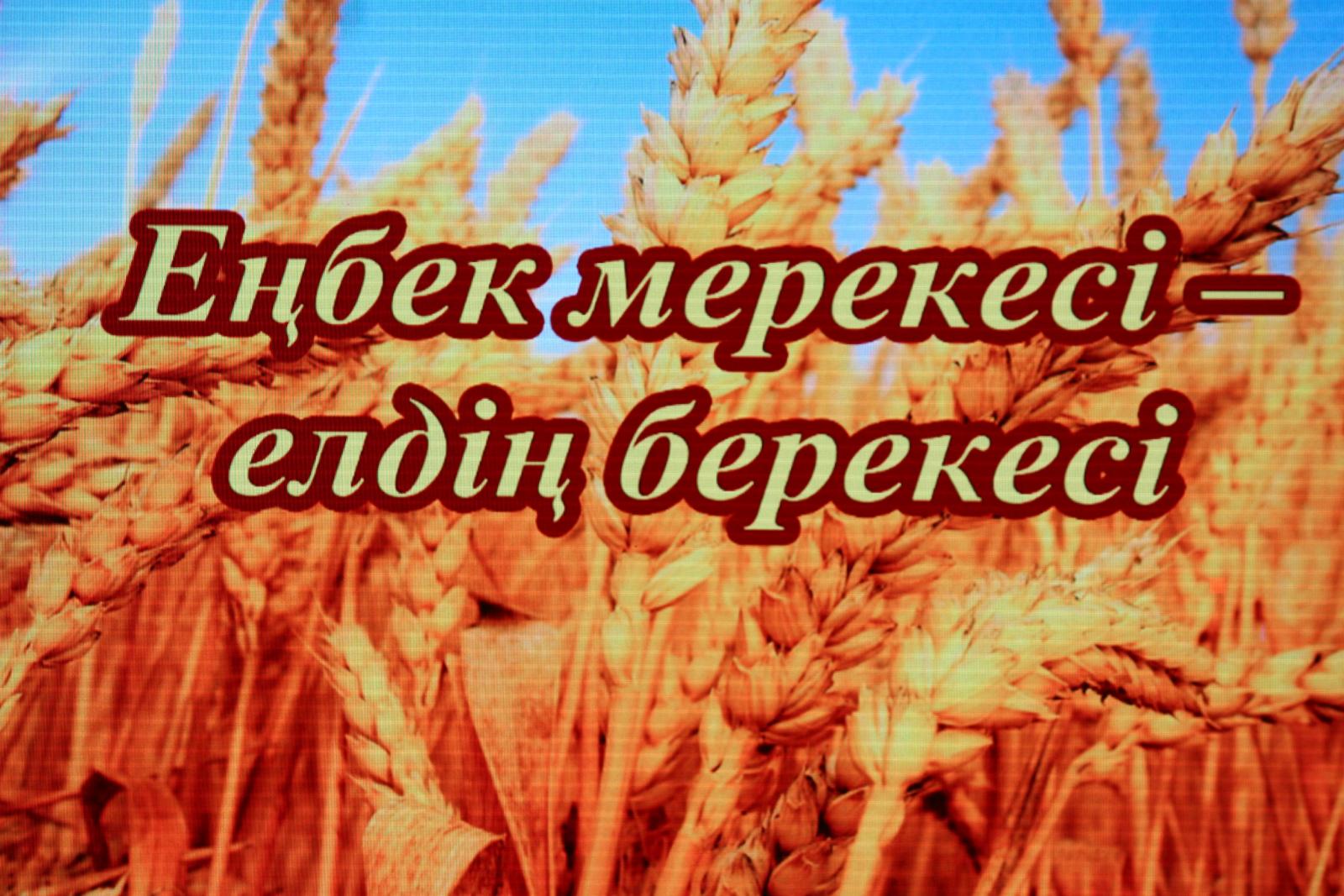 День работников сельского хозяйства Усольский район эмблема