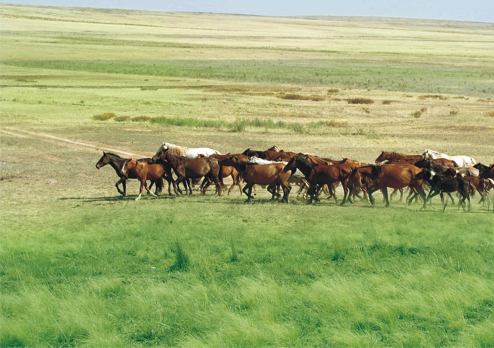 Үлкен кеуделі қыздарды ұрып-соғу бетпе-бет келген әуесқойлар