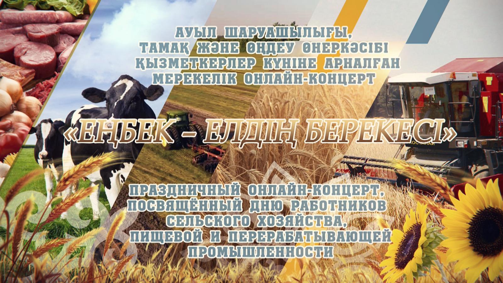 Концерт день сельхозработника в Казахстане